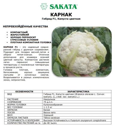 Карнак F1 (KARNAK)
