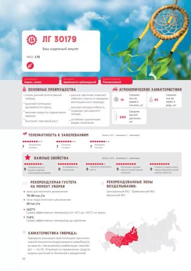 ЛГ 30179 гибрид кукурузы