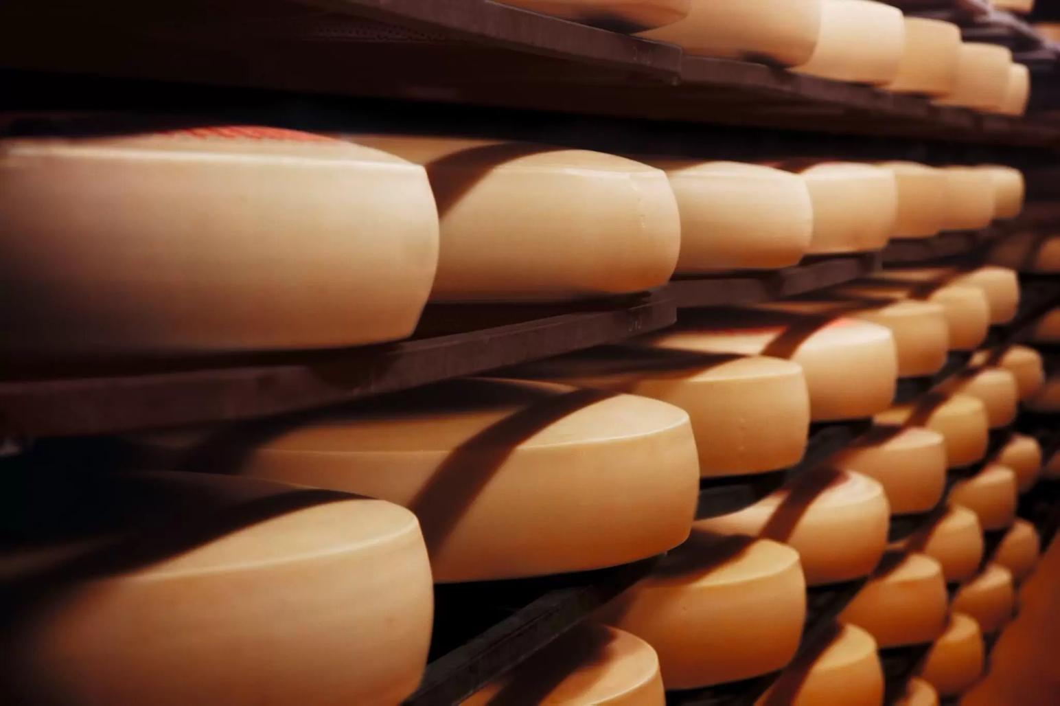 ГК «КАБОШ» ВПЕРВЫЕ НАЧАЛА ПОСТАВЛЯТЬ СЫР В МАГАЗИНЫ МУРМАНСКОЙ ОБЛАСТИ