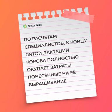 Записки животновода