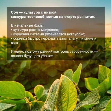 Соевый агрокалендарь: июнь