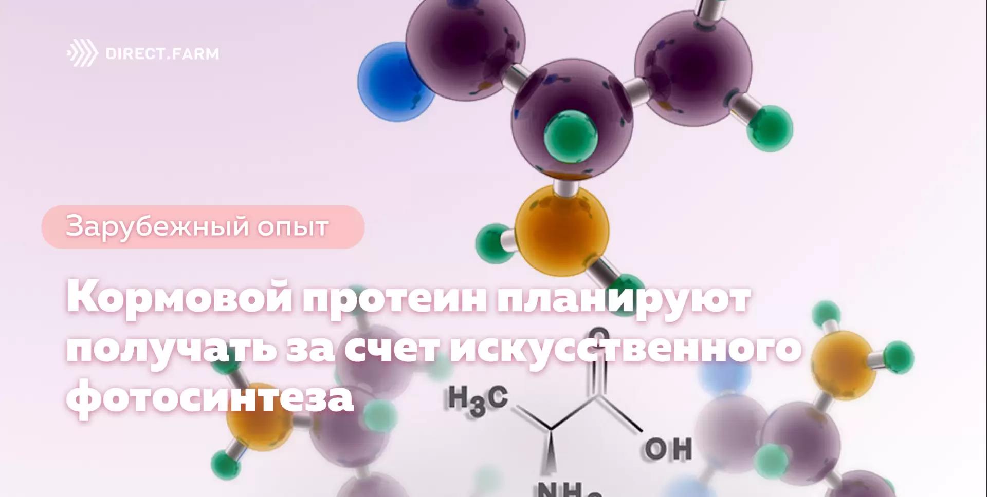 Кормовой протеин планируют получать за счет искусственного фотосинтеза