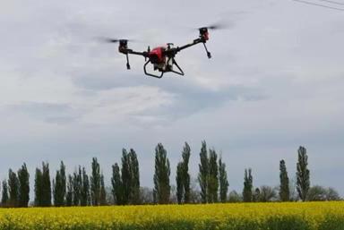 Опыт внесения фунгицида Кустодия,КС на озимый рапс дроном XAG V40