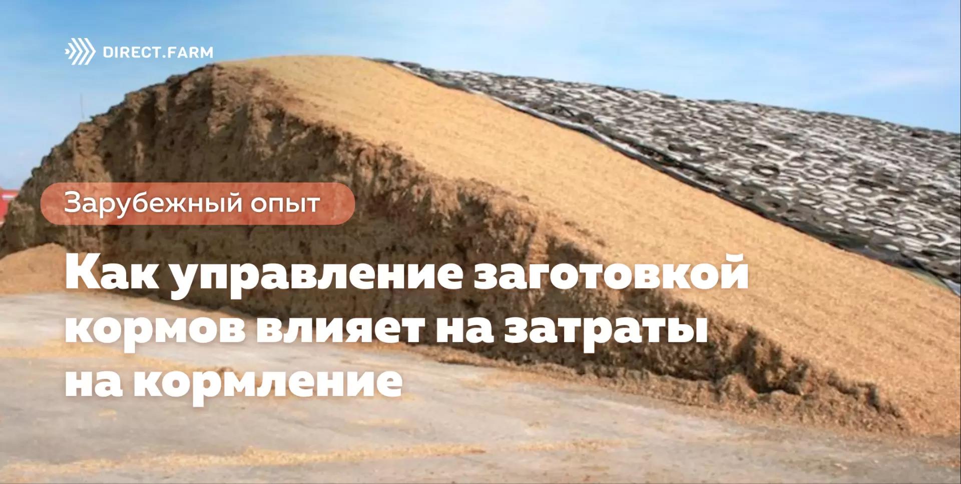 Как управление заготовкой кормов влияет на затраты на кормление
