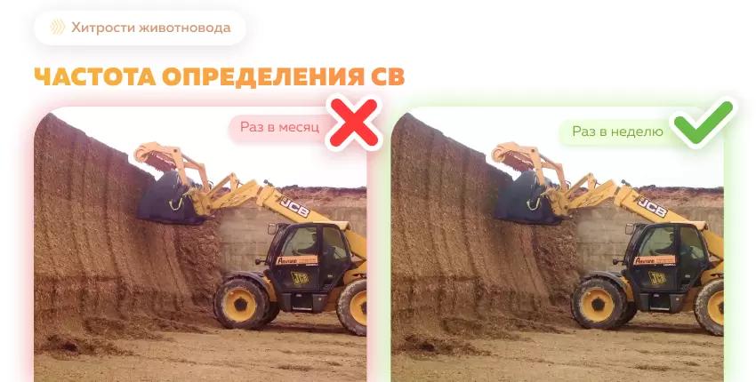 Частота определения влажности основных кормов