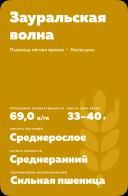 Зауральская волна сорт мягкой яровой пшеницы