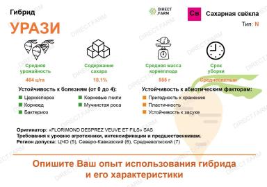 Урази гибрид сахарной свеклы
