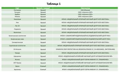 Качество определяет успех: стратегии производства твёрдой пшеницы сегодня