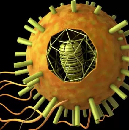 Химическая и биологическая дезинфекция. Как выбрать?