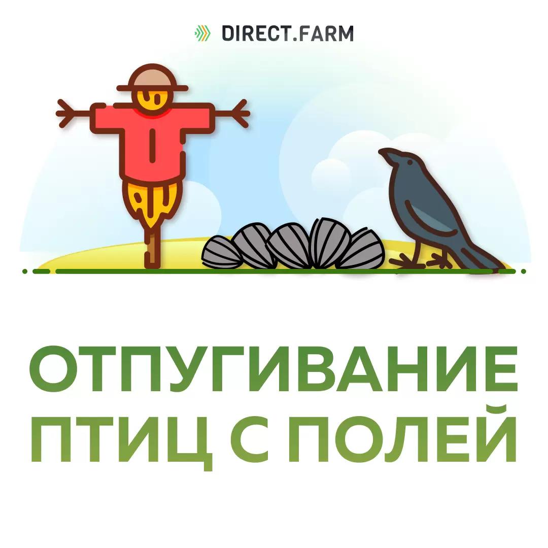 Отпугивание птиц с полей