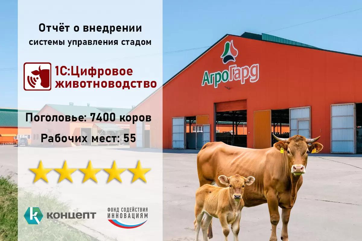 Отчёт о внедрении «1С:Цифровое Животноводство» для АО "АгроГард"