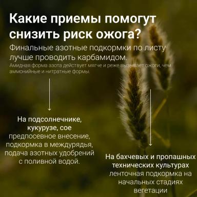 🔥 Топ-ошибок при внесении удобрений: как не навредить урожаю