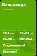 Бельмондо (BELMONDO) сорт гороха посевного