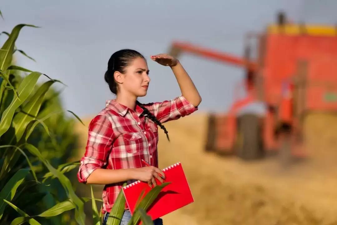 Сельское хозяйство 2.0: Как сделать фермерство привлекательным для молодежи?