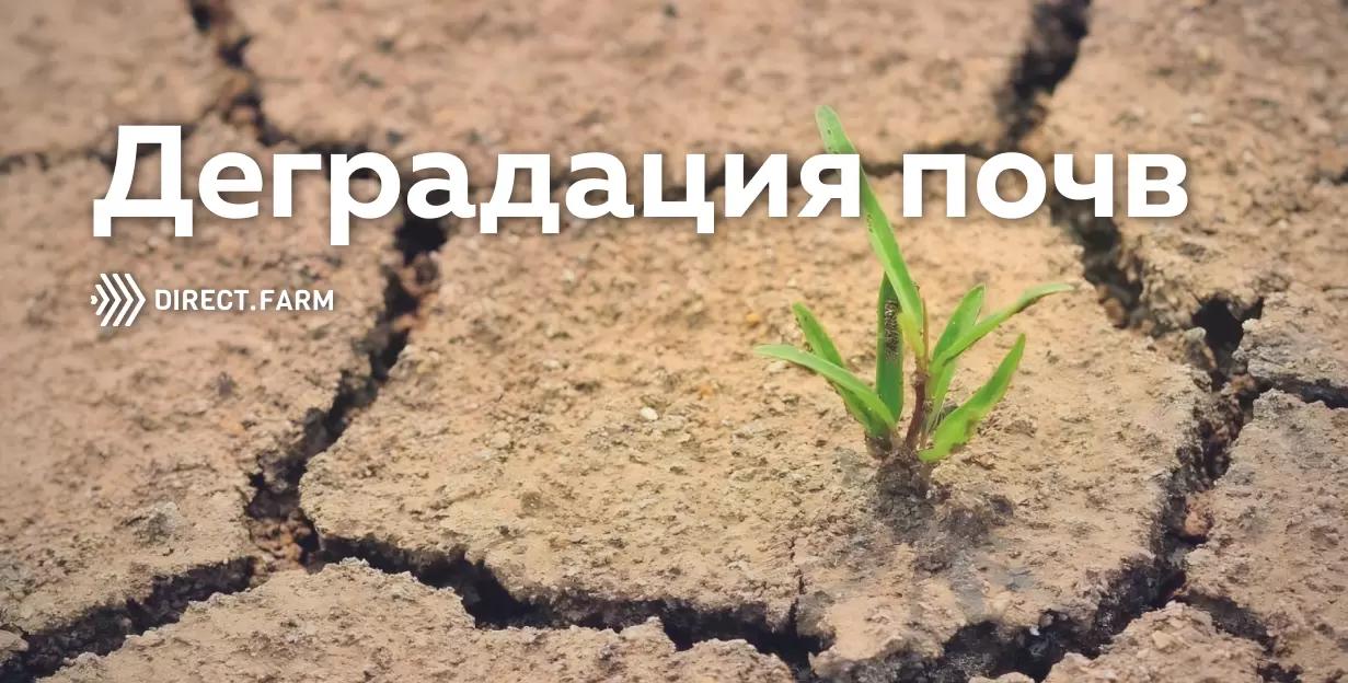 Экологические проблемы почв