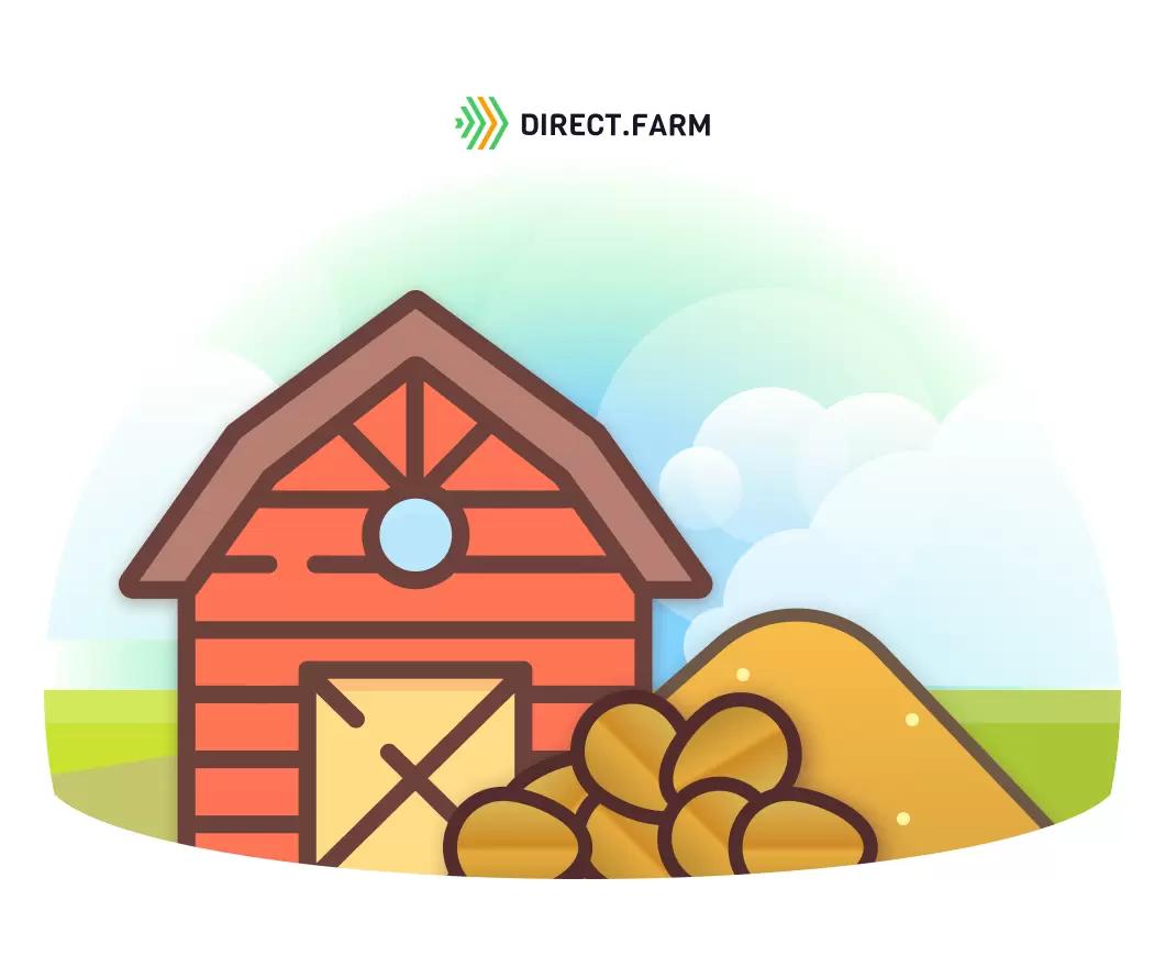 Как хранить зерно с повышенной влажностью?