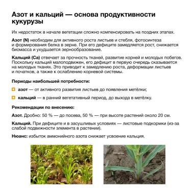 Что нужно знать, чтобы получить максимальный урожай?