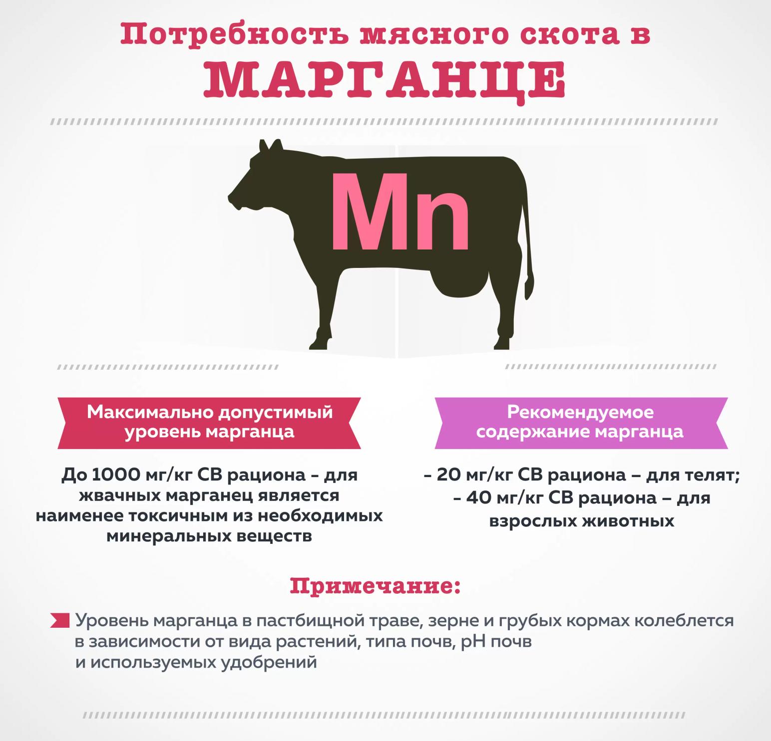 Потребность мясного скота в марганце