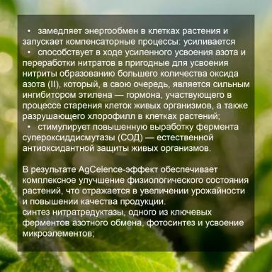 Соевый агрокалендарь