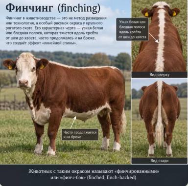 Финчинг (finching) в животноводстве