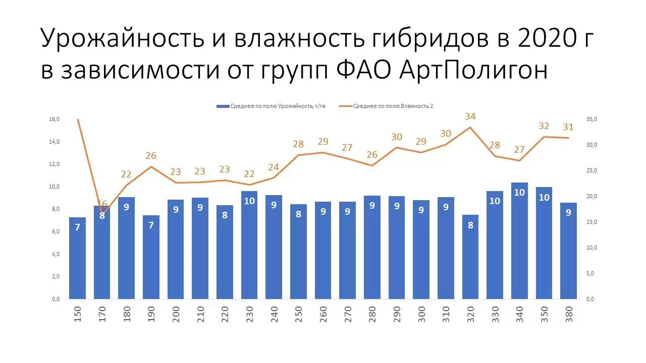 Сравнение гибридов кукурузы на площадке АртПолигон