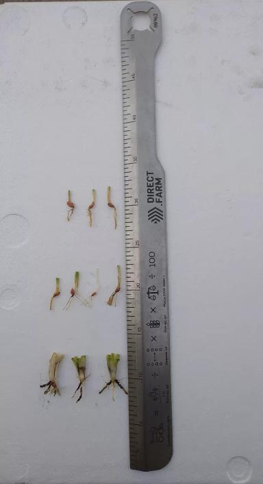 Спасибо Direct. Farm за викторину 🙂