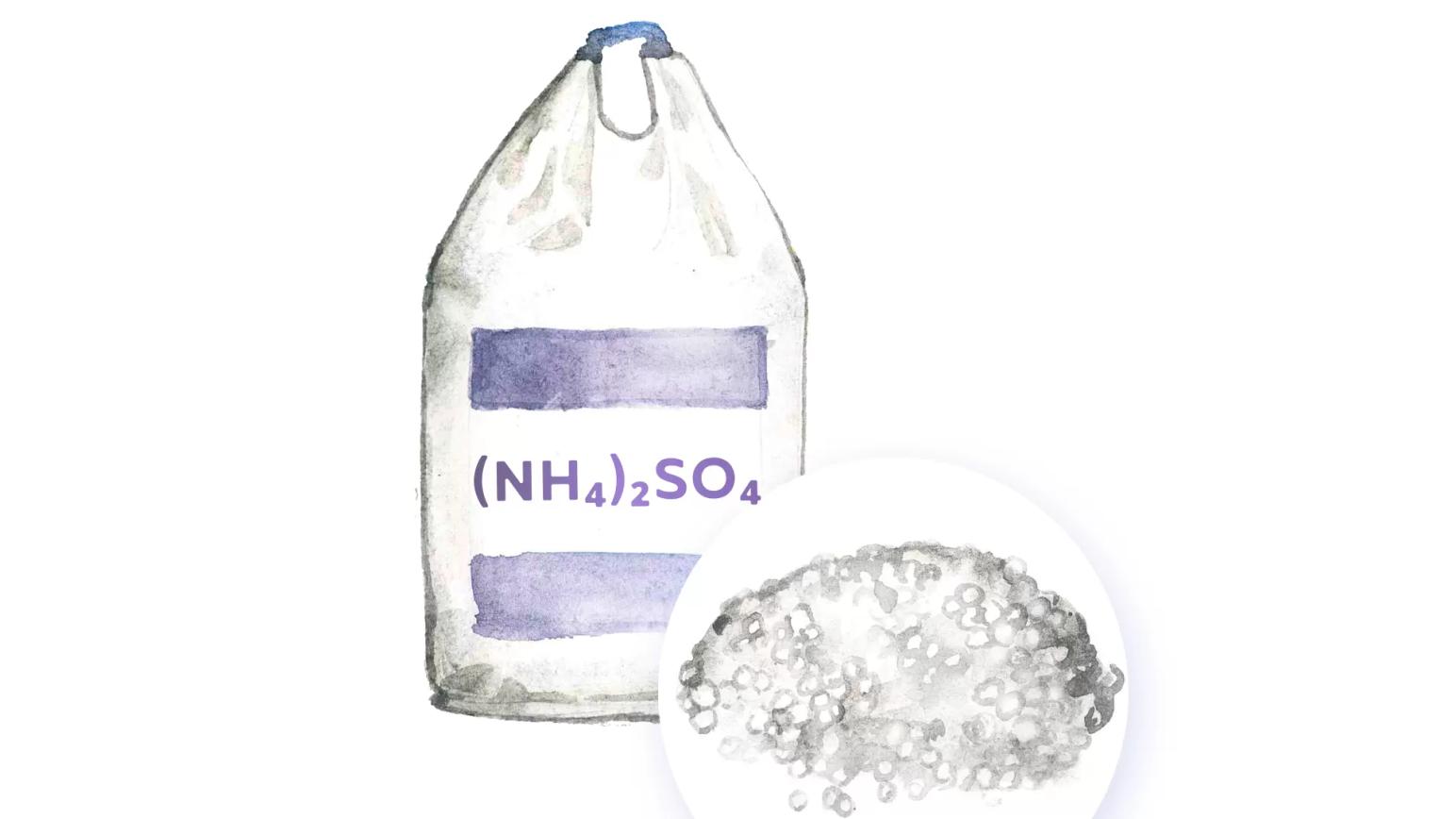 Сульфат аммония