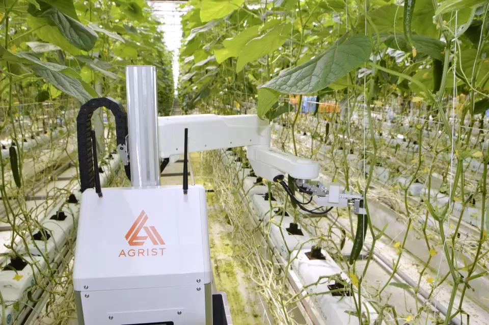 Роботами, работающими по ночам, заменяют недостающие кадры в АПК Японии