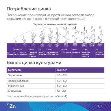«Элементарно об элементах!» – цинк