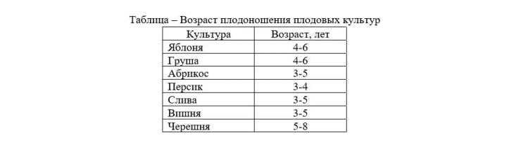 Почему плодовые насаждения не плодоносят