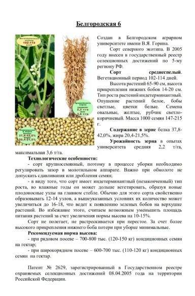 Белгородская 6