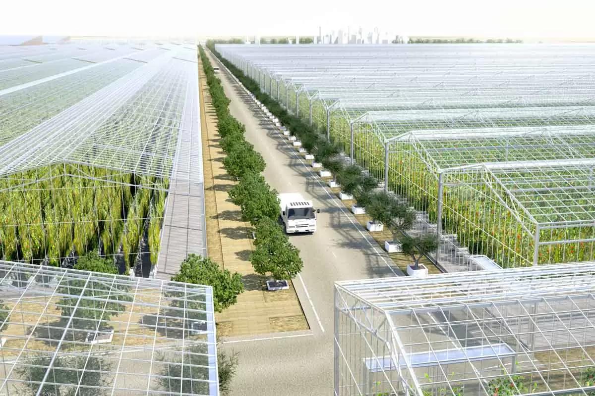 Самая большая эко-ферма в мире внесена в Книгу Рекордов Гиннесса