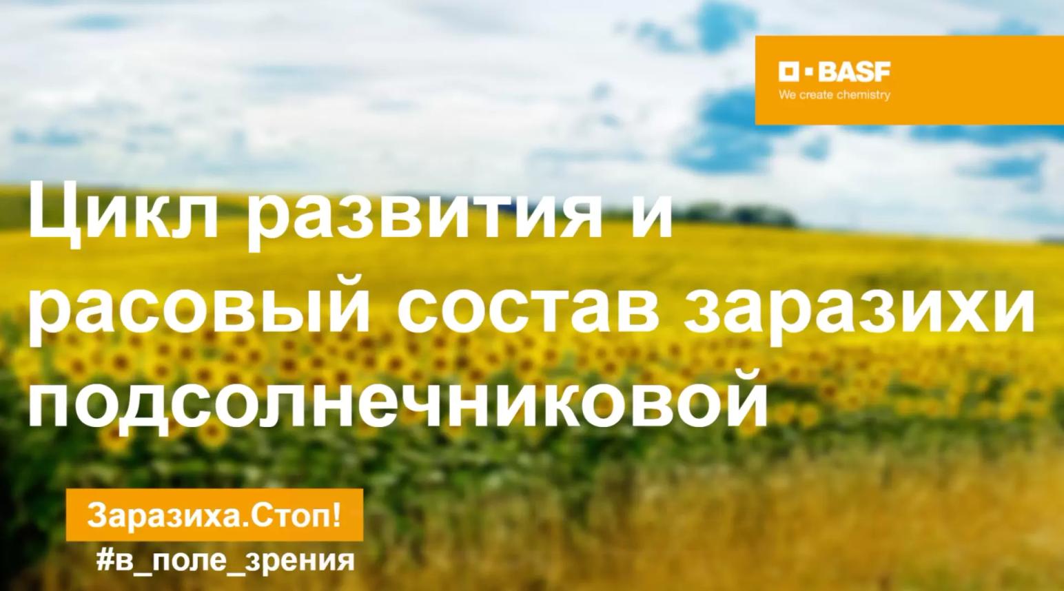 Новый выпуск подкаста «В поле зрения»