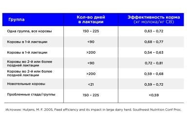 Эффективность корма-фактор роста продуктивности и доходности молочного хозяйства
