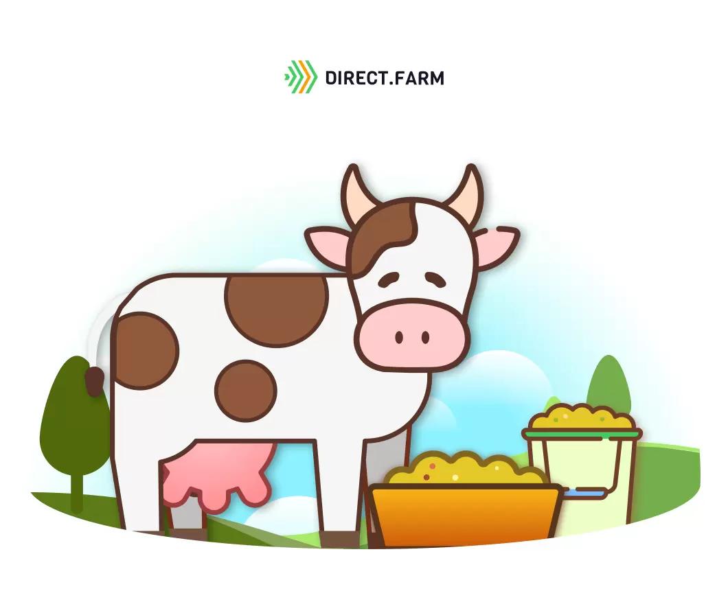 Почему у коровы ухудшился аппетит, а жвачка стала редкой? 