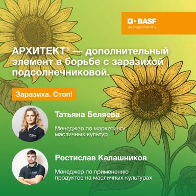 Дополнительный элемент в борьбе с заразихой подсолнечниковой