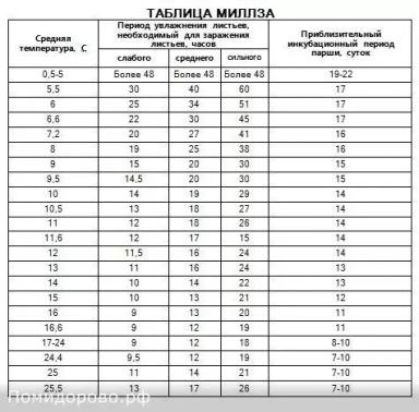 Парша яблони: предотвратить и обезвредить 