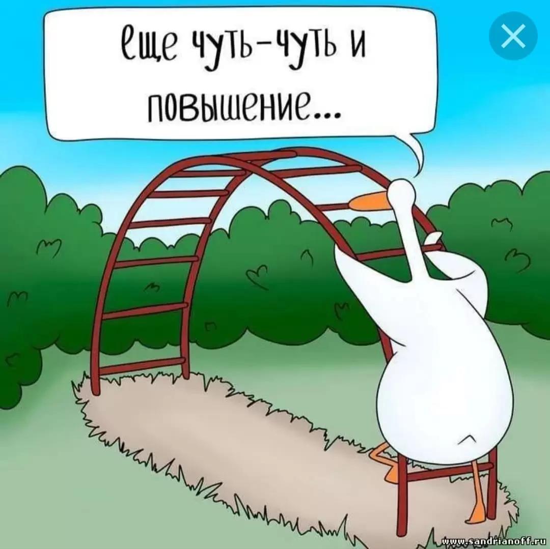 Ждать или не ждать повышательной тенденции на рынке зерна?