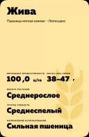 Жива сорт мягкой озимой пшеницы