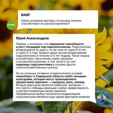 Заразиха в Самарской области