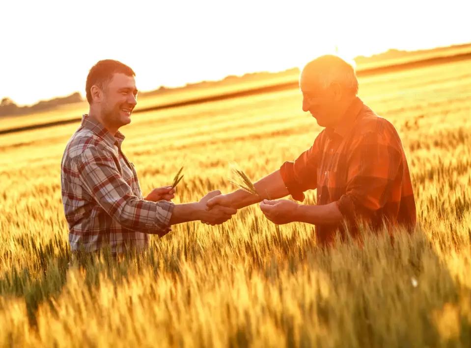 «Приведи друга» и отсрочка от мобилизации - новые тенденции для агрокадров