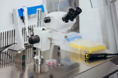 Получение эмбрионов in vitro, эмбриологические аспекты