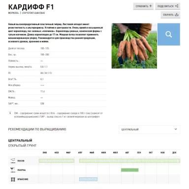 Кардифф F1 (CARDIFF)