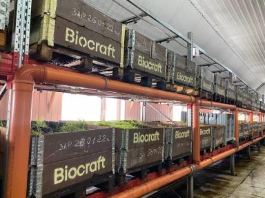 Микробиологические удобрения компании «Биокрафт»: вермикультура, доступная всем