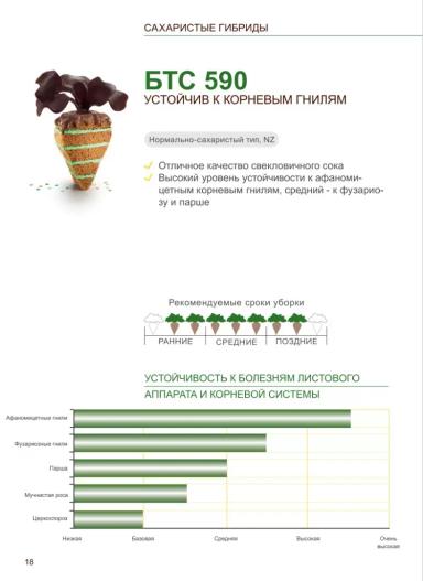 БТС 590 (BTS 590)