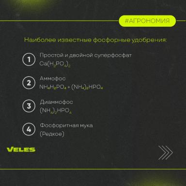 ФОРМЫ ФОСФОРА, ЕГО ВЗАИМОДЕЙСТВИЯ С ПОЧВОЙ. ФОСФОРНЫЕ УДОБРЕНИЯ.