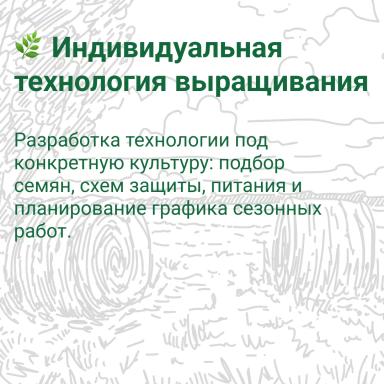 🌾 Где получить оперативную консультацию по агросопровождению? 