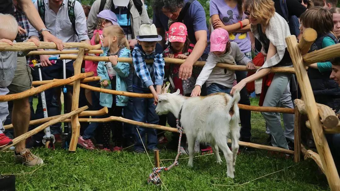Россельхозбанк спрогнозировал рост турпотока на сельские территории страны