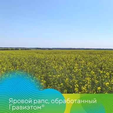 Морфорегуляторы Гравиэт® и Стэнли® для разных кульутр