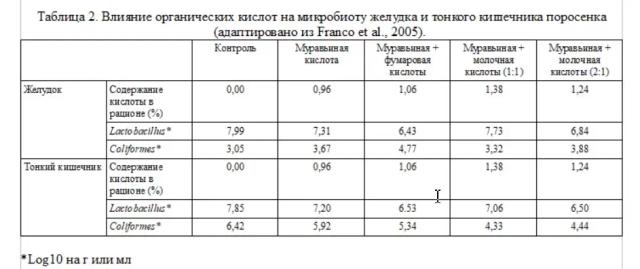 Подкислители: роль в здоровье кишечника поросят